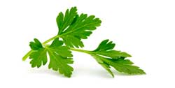 parsley